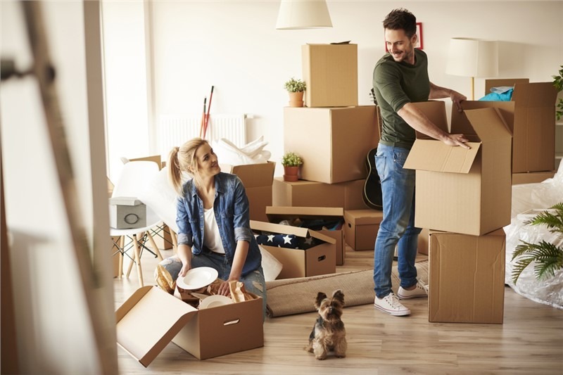 Stress-Free Moving A Guide to a Seamless Relocation